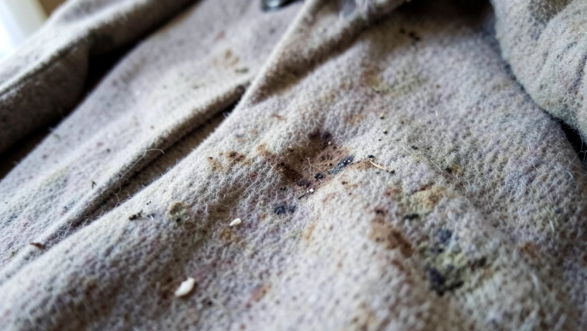 czyszczenie płaszcza wełnianego cena