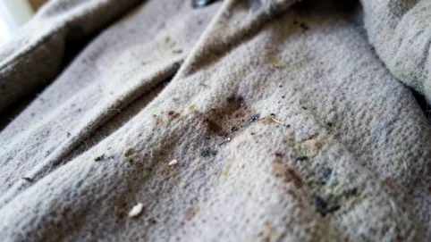 czyszczenie płaszcza wełnianego cena