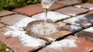 Ocet na wykwity wapienne