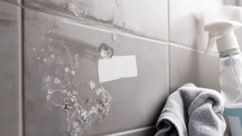 Płytki lappato czyszczenie