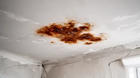 wykwity na tynku gipsowym